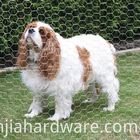 dog mesh 